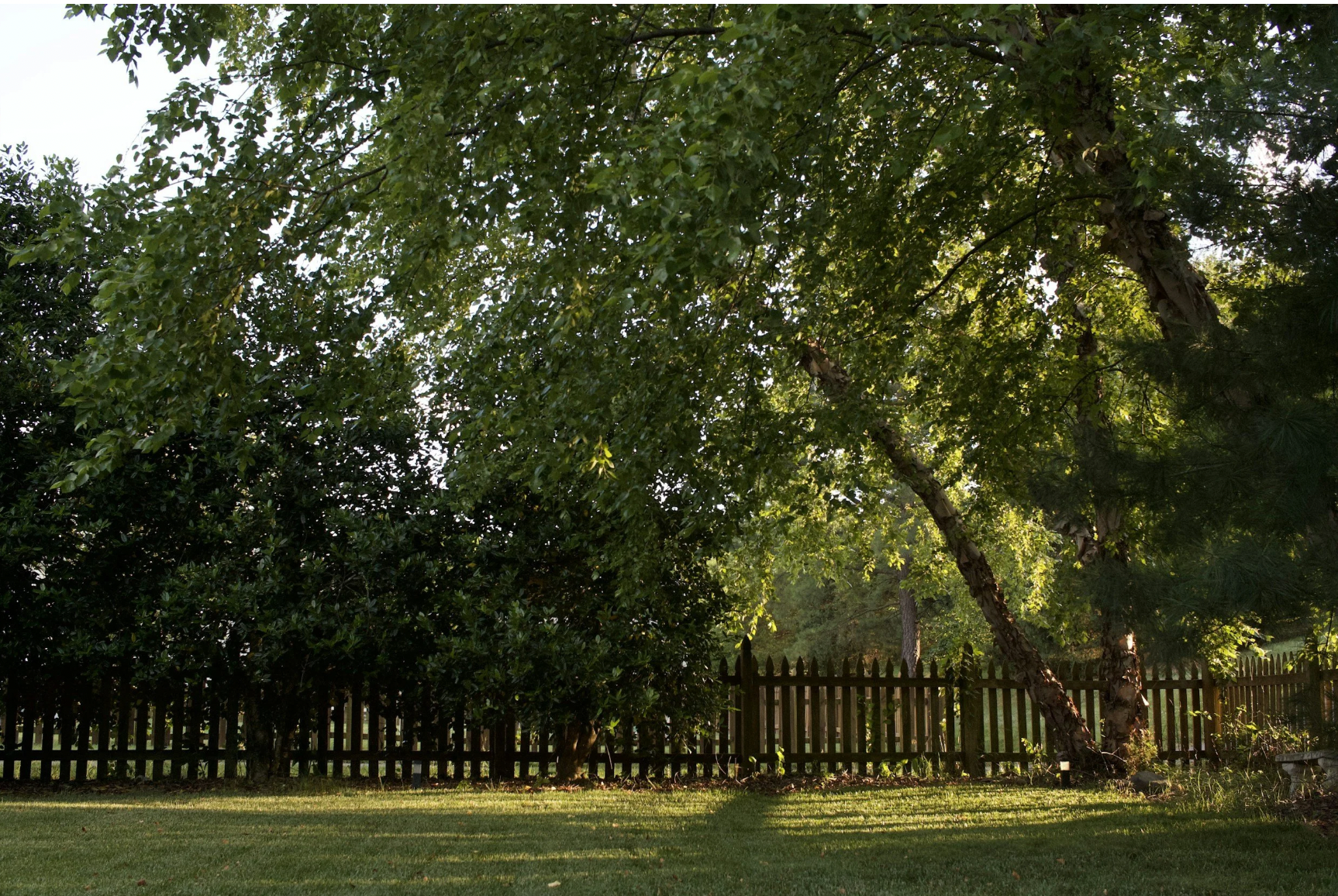 Summer Guide to Landscape Care