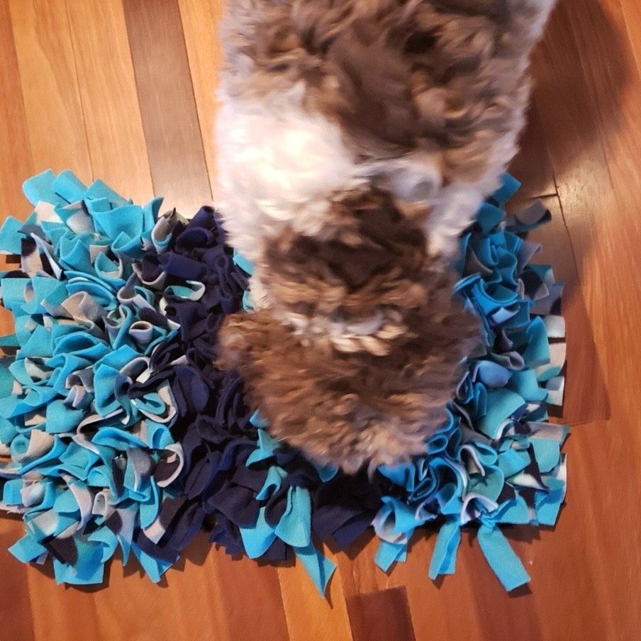 Snuffle+Mat.jpg