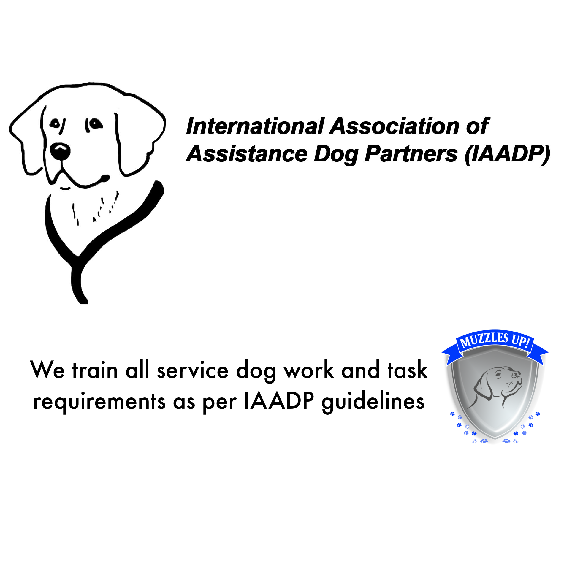 IAADP guidelines2.png