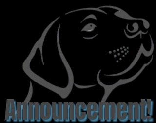 Two big things to announce going on with Muzzles Up!

As of June 20, Jess will no longer be available for pet sitting. Muzzles Up will still offer the service, but Avery will be our only sitter. Avery is highly qualified, certified in pet CPR and fir