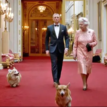 Royal Corgis with Queen and Prince