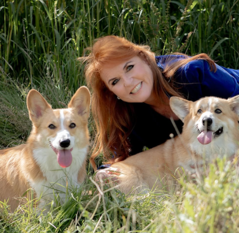Corgies with Sarah Ferguson