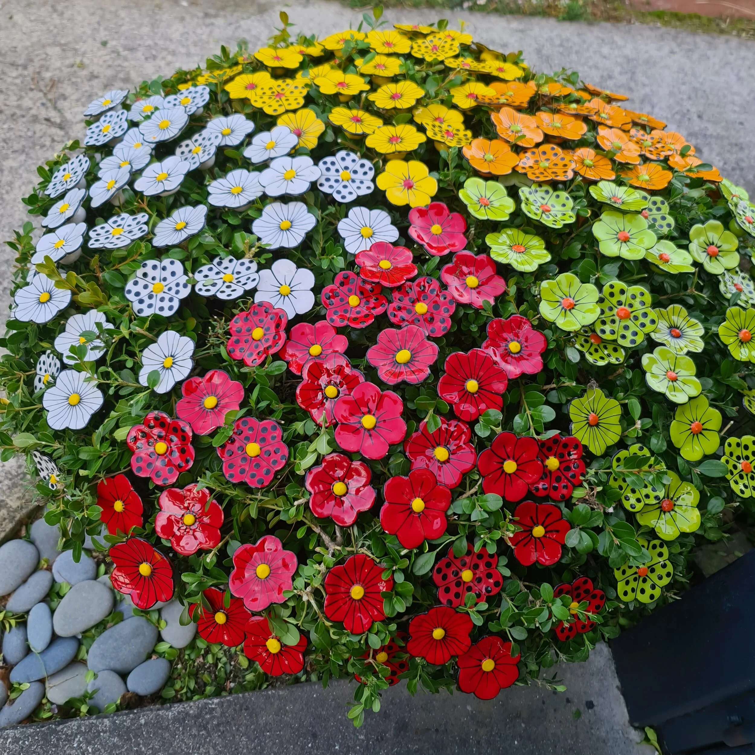 Ceramic Daisies