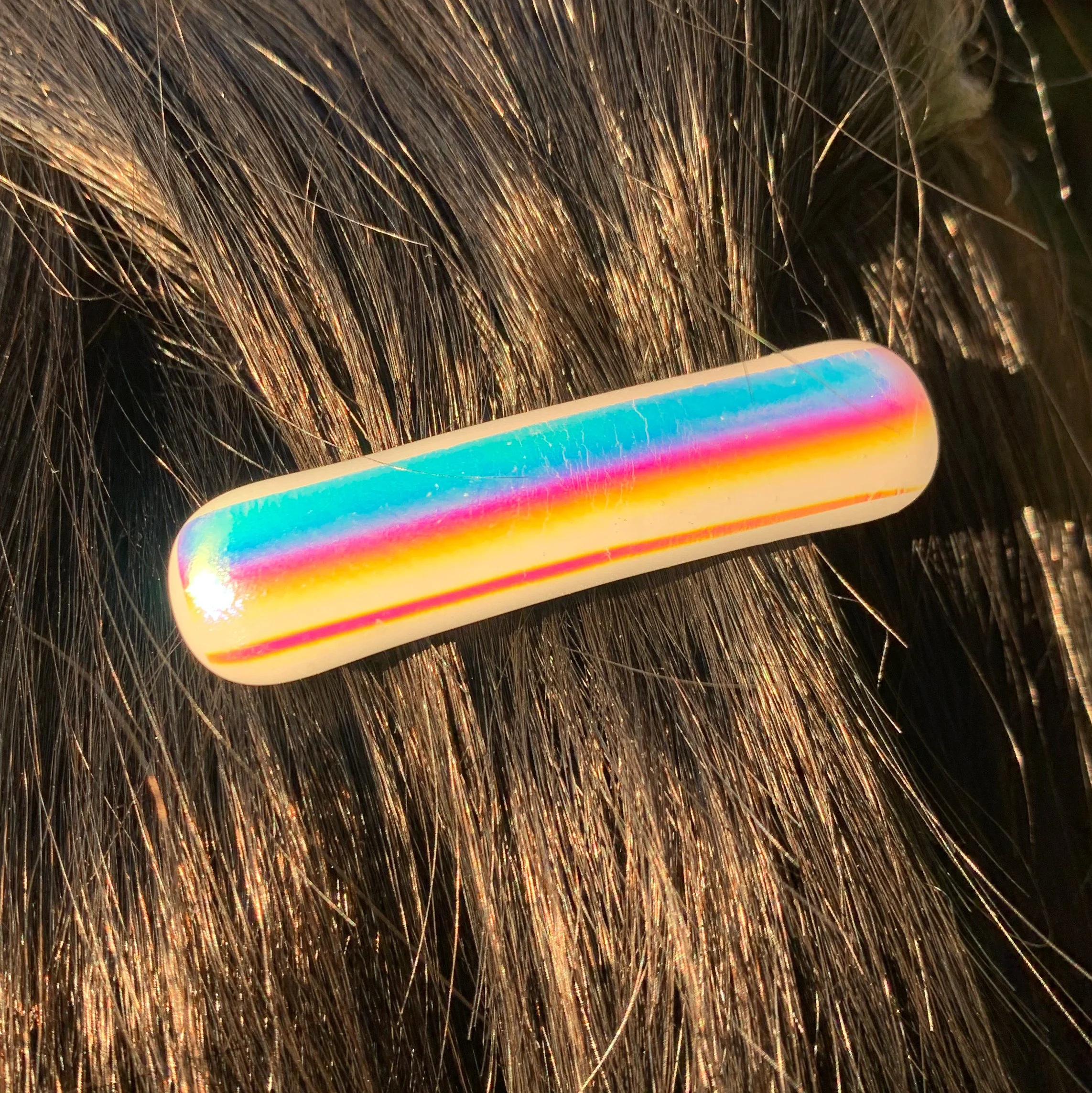 rainbowdichro2.jpg