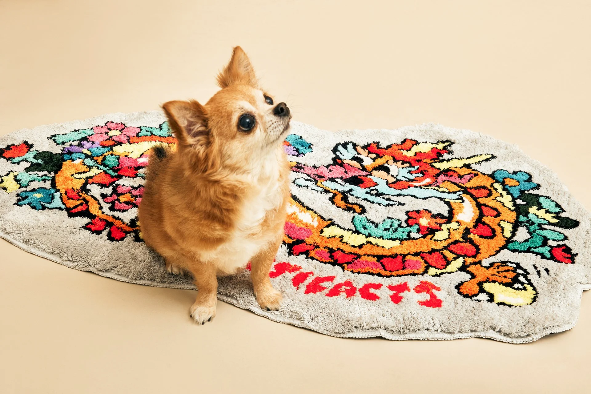 DRAGON RUG