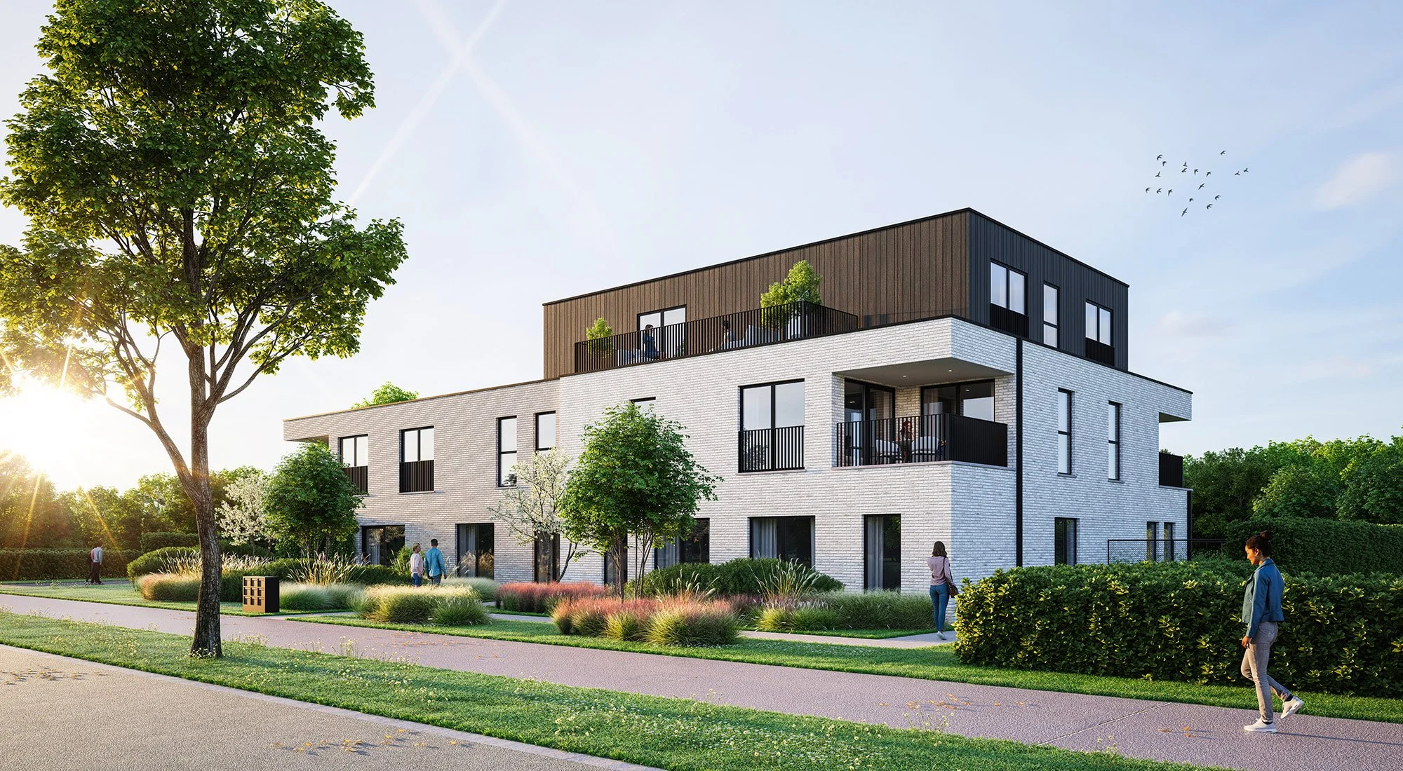 24414 BOProjects - Borze Lille - Triaksis - Finaal beeld001b - 2000x1100.jpg