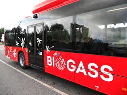 Buss.jpg