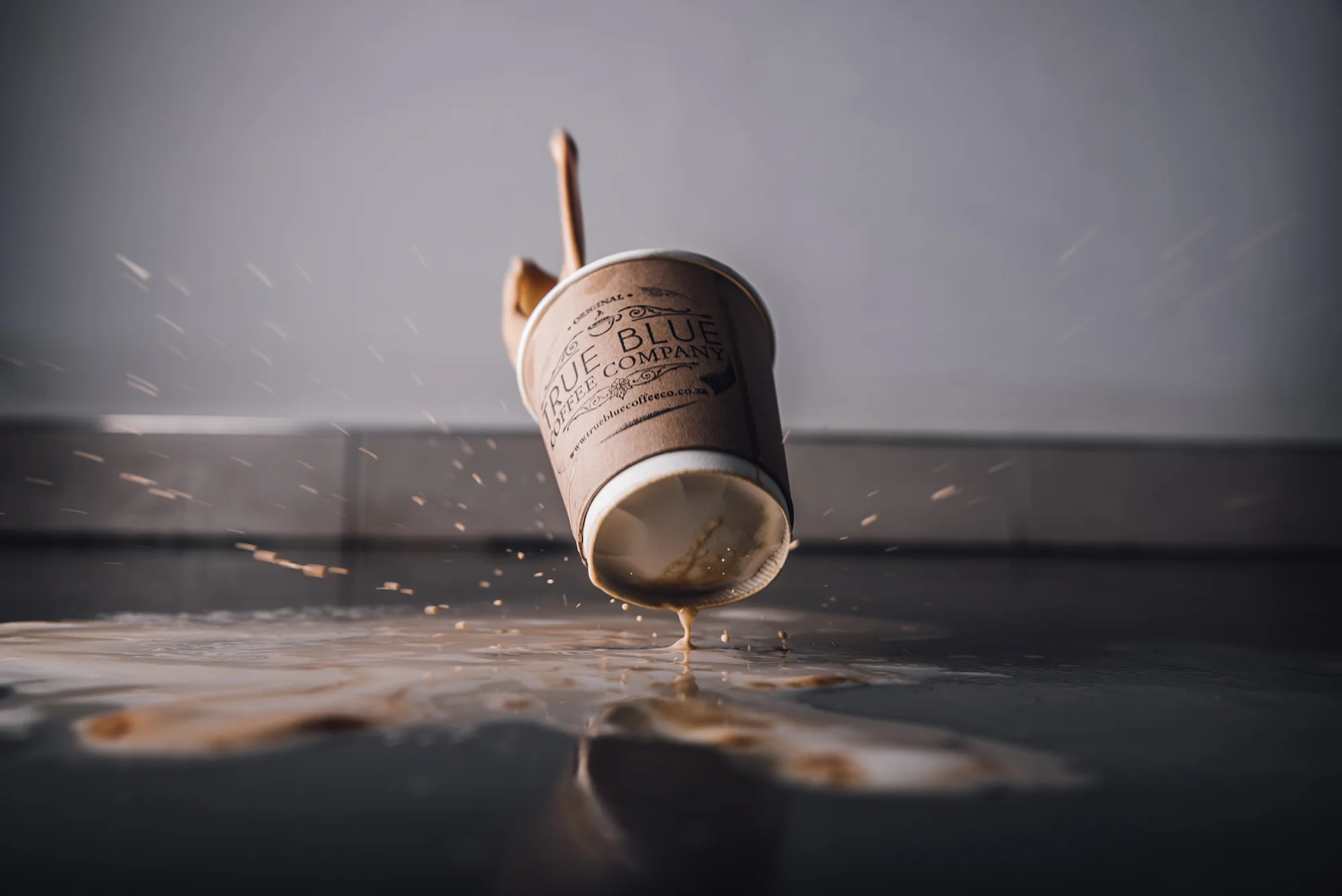 Trueblue Coffee - 120.jpg