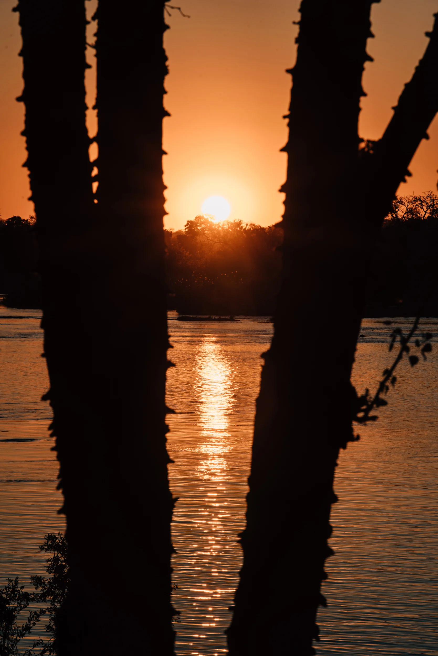 TATA Communications Zambia - 104.jpg