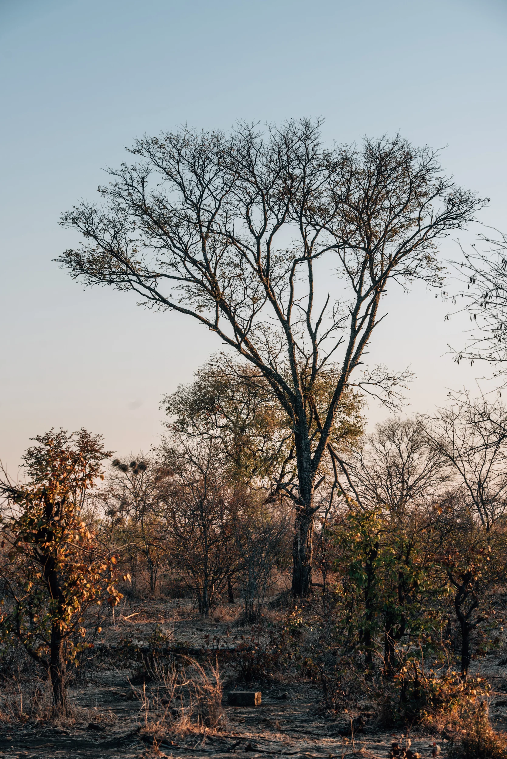 TATA Communications Zambia - 226.jpg