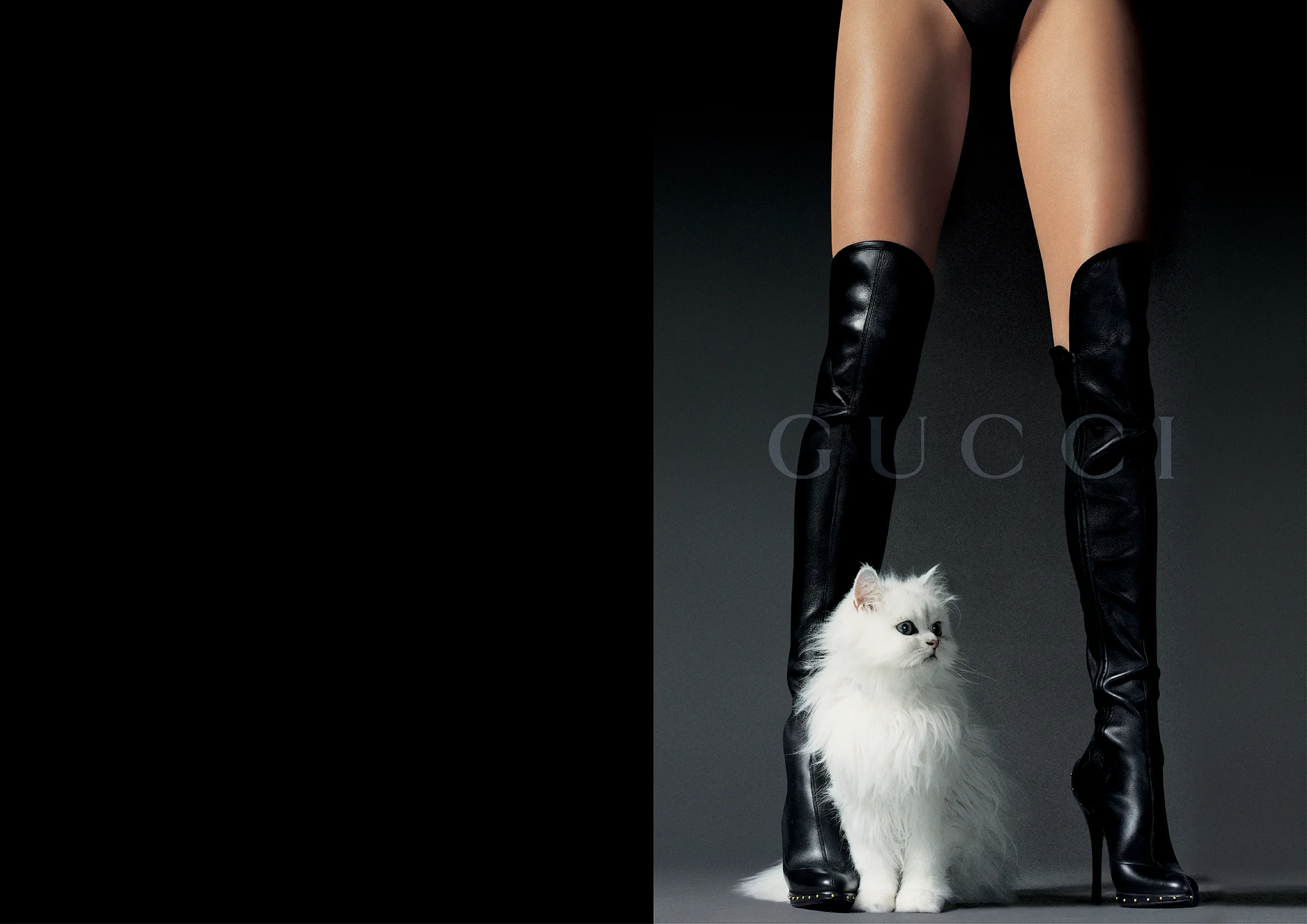 GUCCI ADS PB4.jpg
