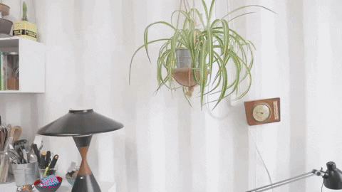interior2.gif