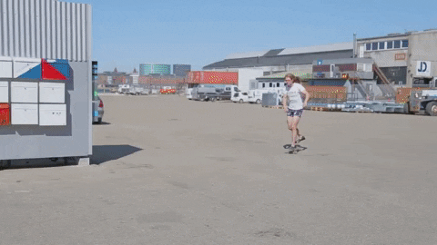 BOARD.gif