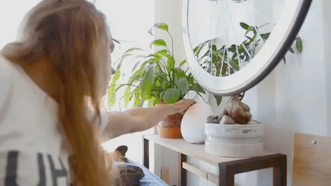 "This is my sun-lamp. It wakes me up with bird sounds and gradually illuminates the room. It’s my own Sci-Fi orb."