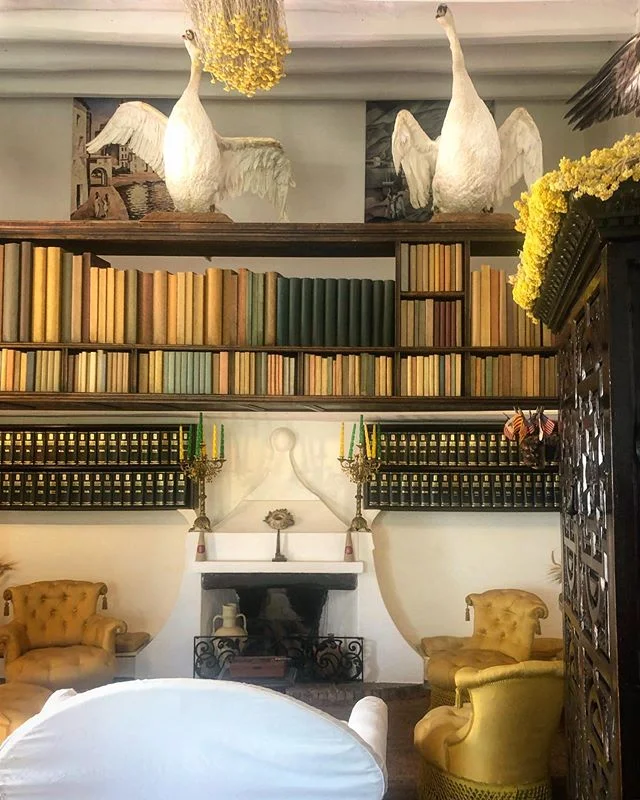 Swanning around Casa Dali this morning. 👀