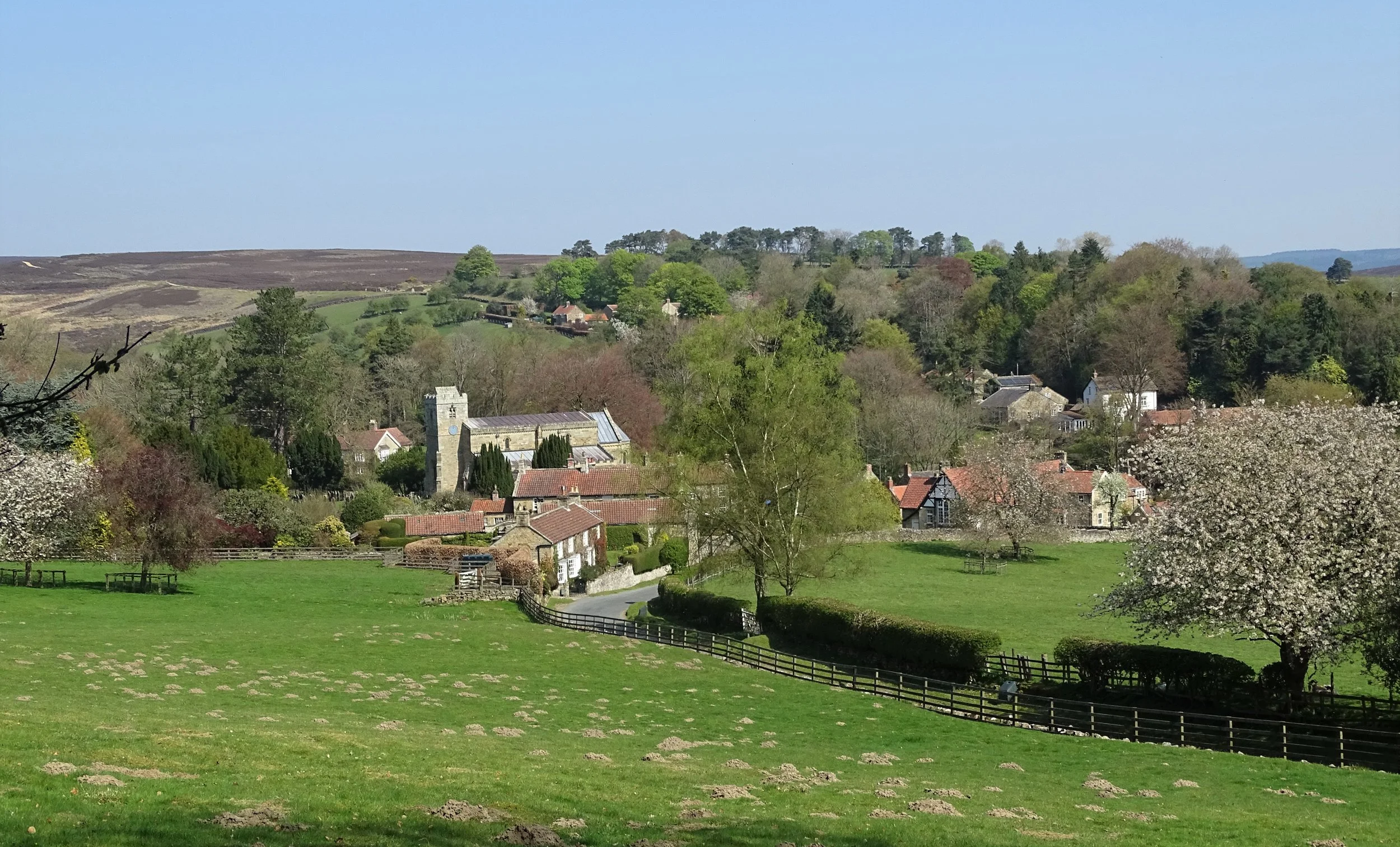 Lastingham Spring.JPG