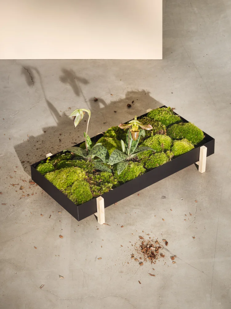 FlowerTray_3_Greenery.jpg