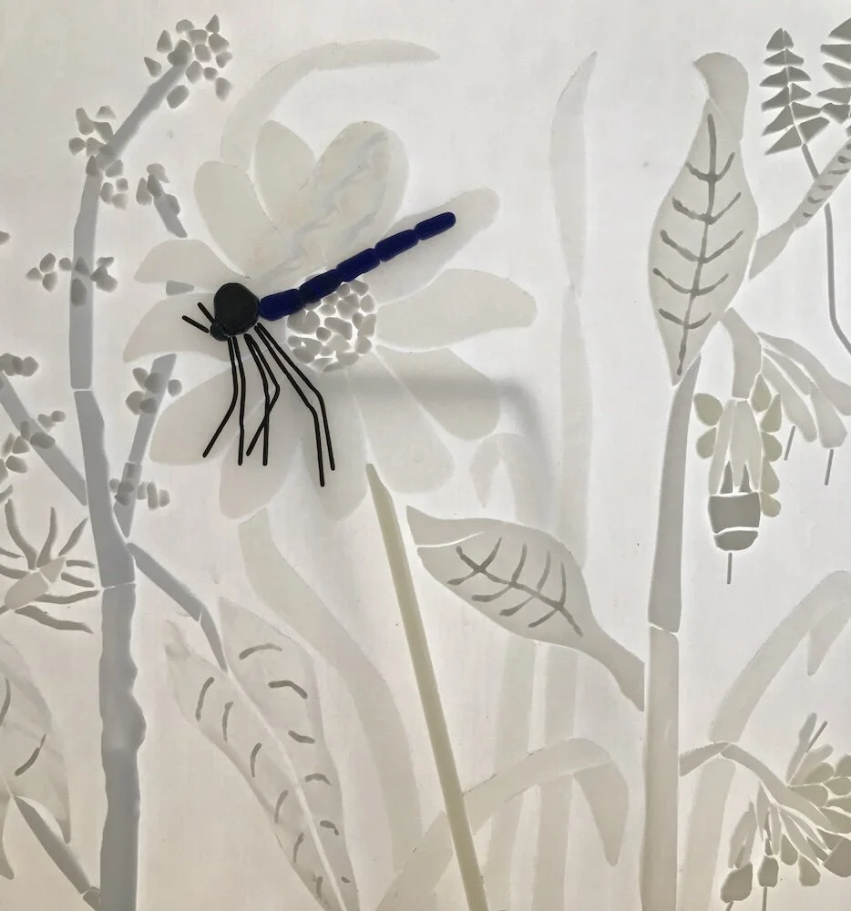 dragonfly.jpg