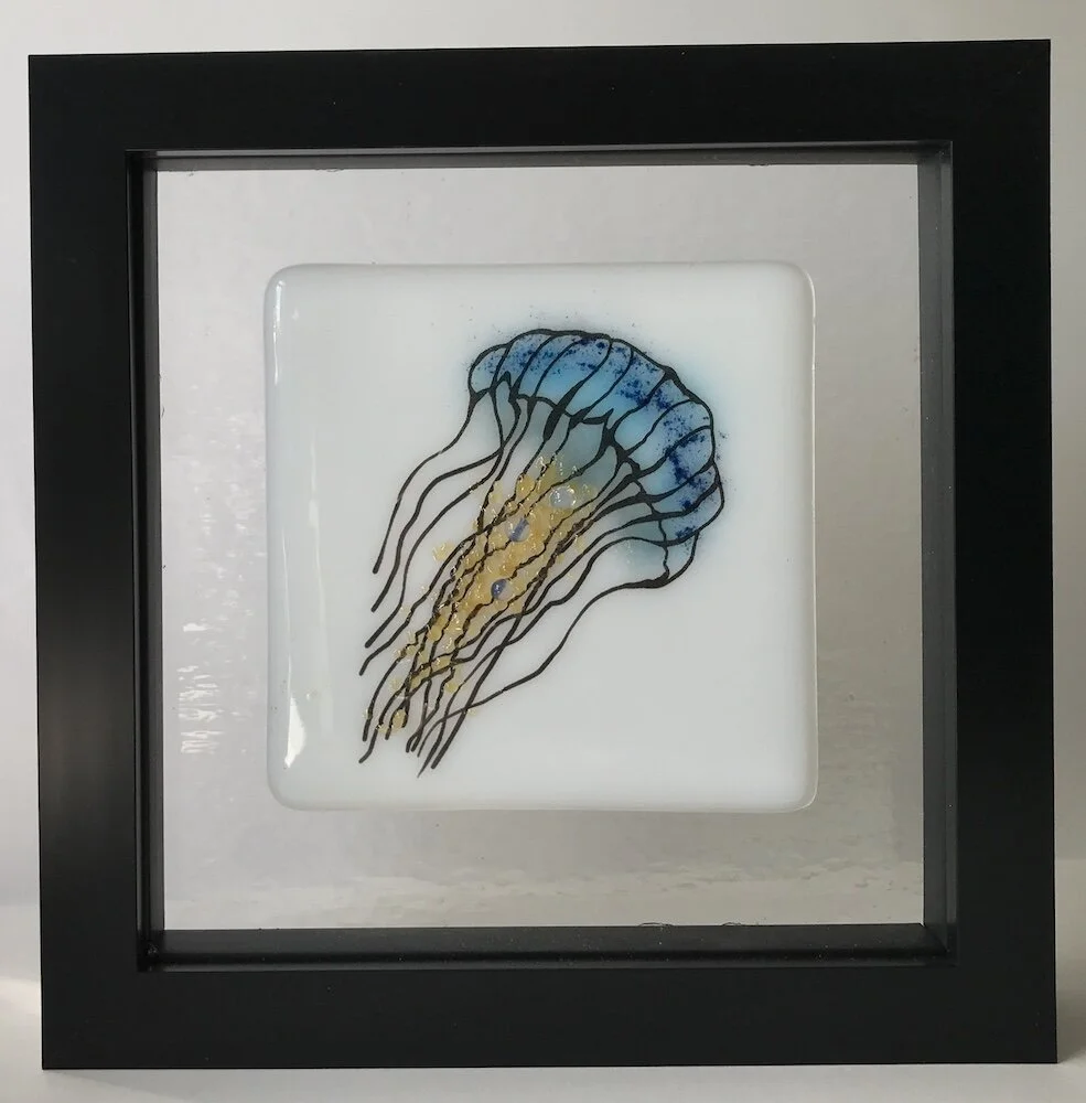 blue jellyfish in frame.jpeg