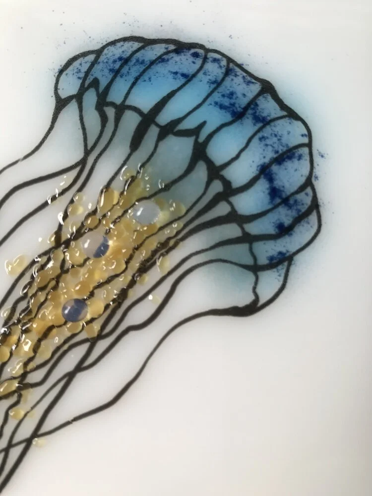 blue jellyfish close up.jpeg