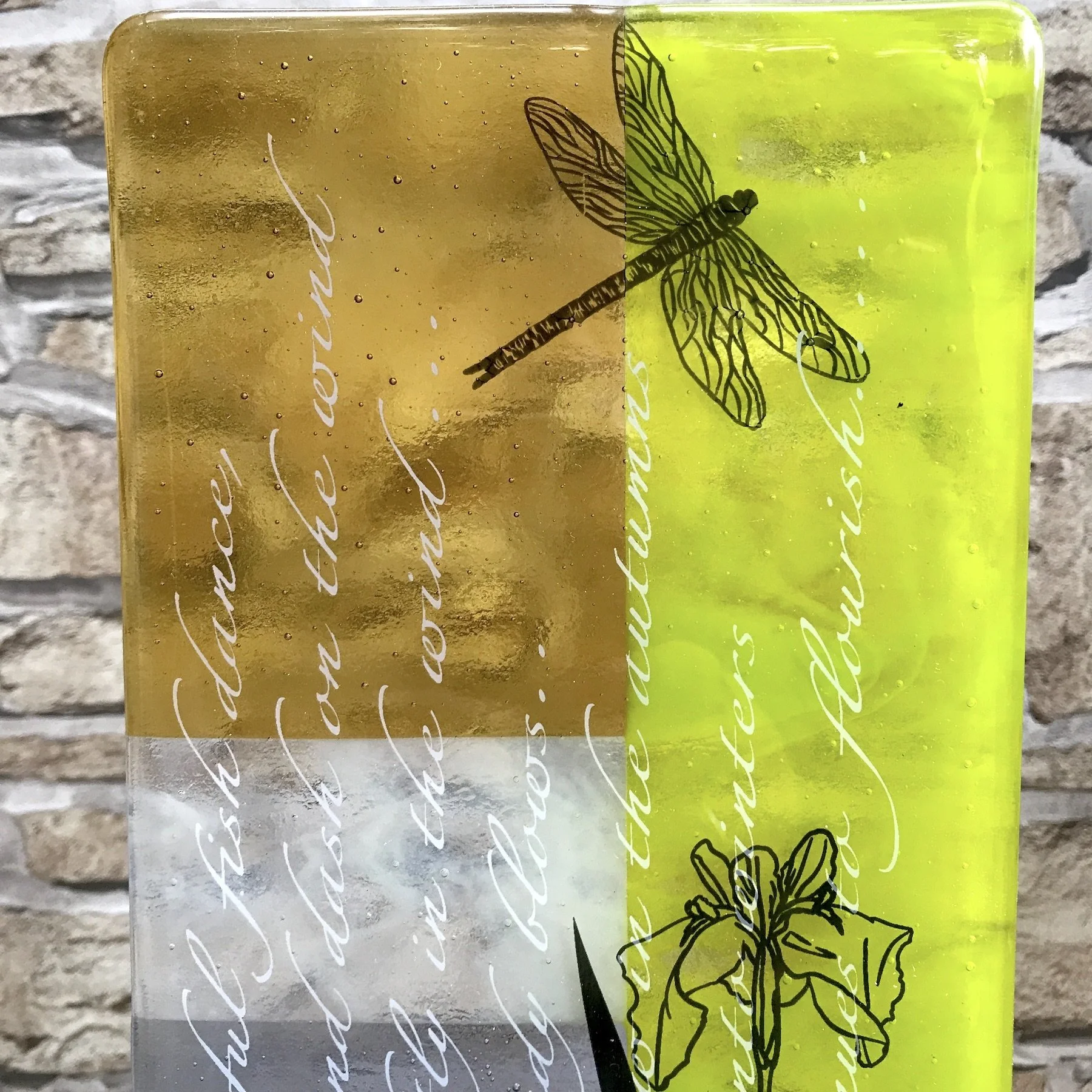 Pond glass dragonfly close up top sml.jpeg