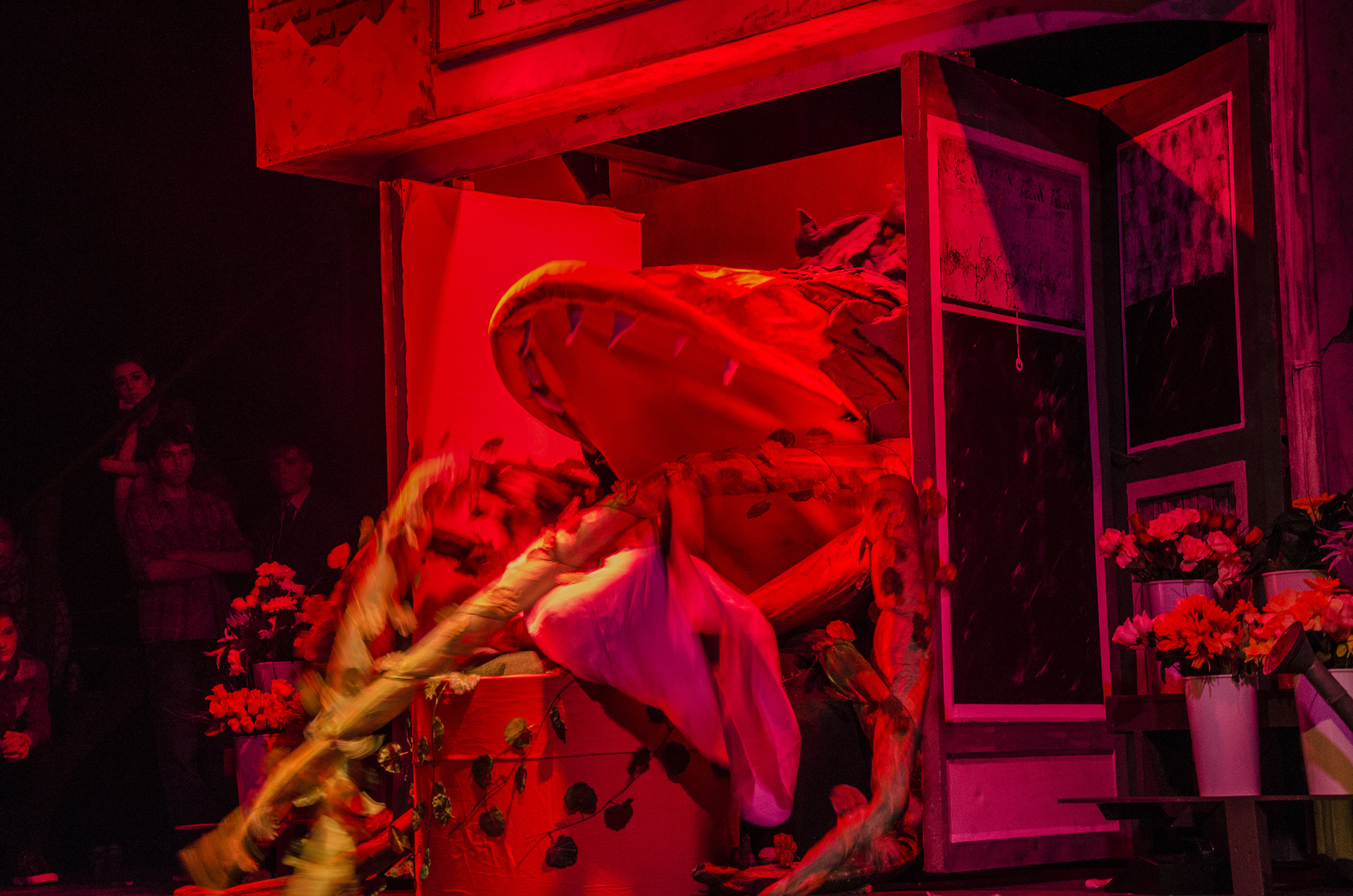 DSC_4485.jpg
