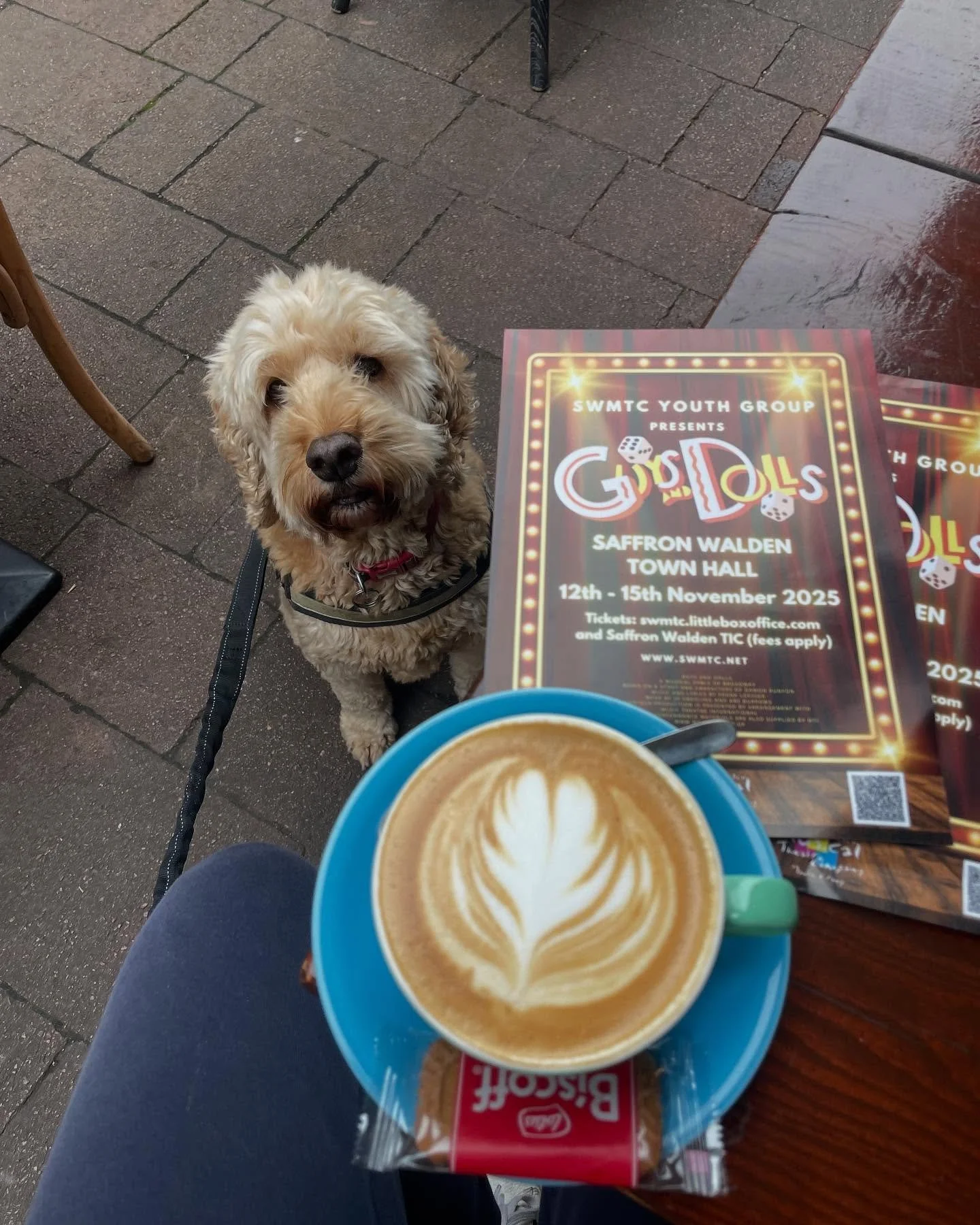 Marketing Dog has been out and about today, putting up #guysanddolls posters around #saffronwalden 
Now just stopping @thegoatandgrass for a biscuit and a coffee for his assistant