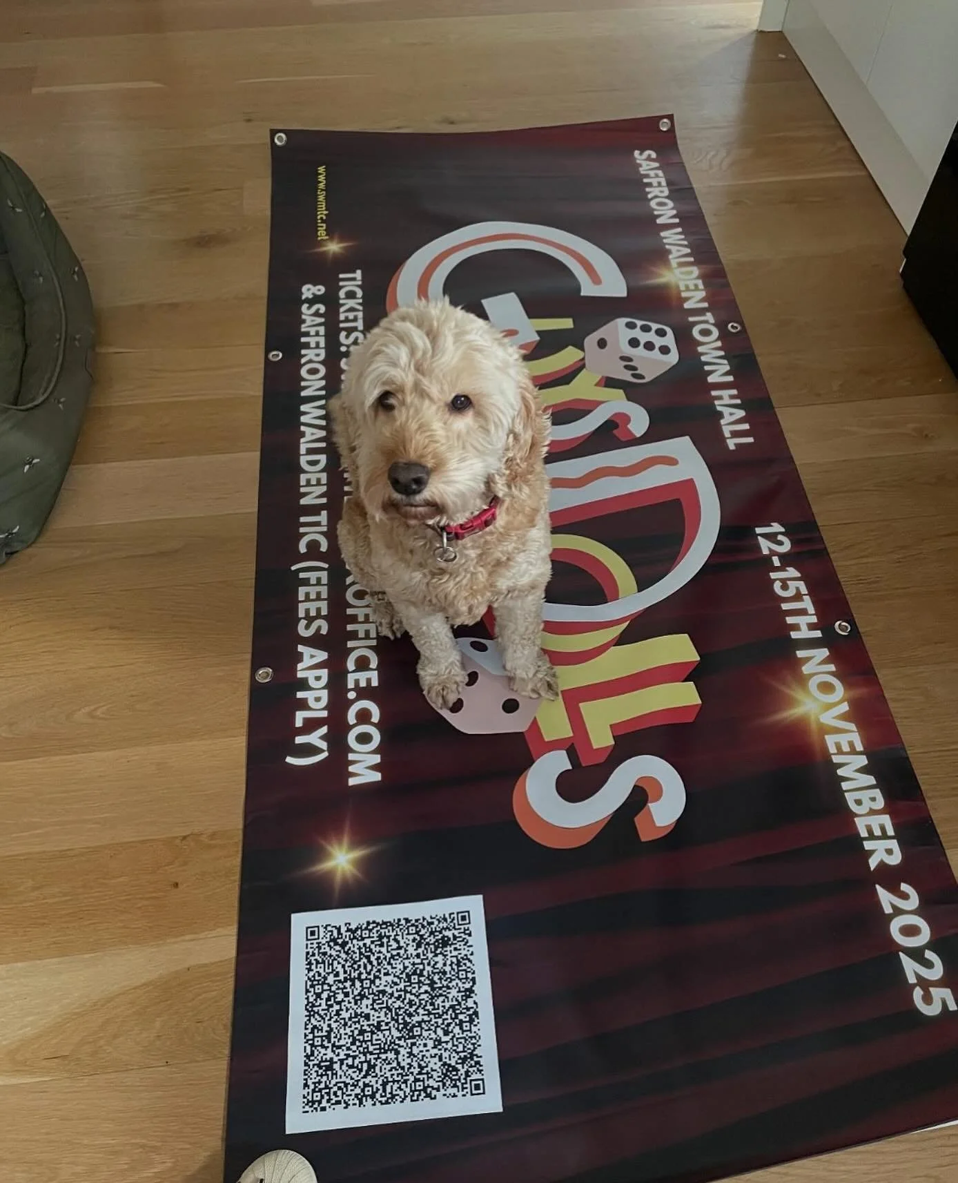 Marketing Dog put the #guysanddolls banner up last weekend with help from his assistants. Have you spotted it yet?
#saffronwalden #swmtc #marketingdog