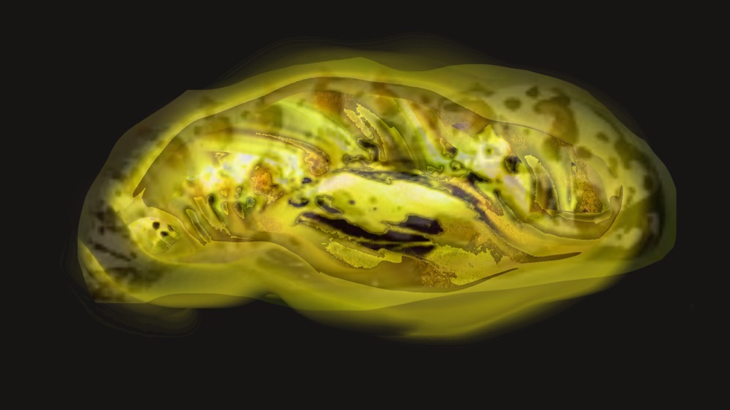 Chrysalis_pagan.jpeg
