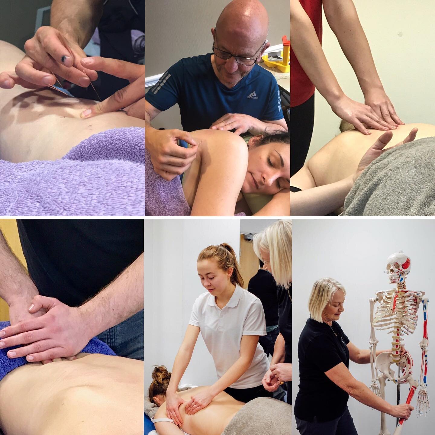 With courses starting next month, there's never been a better time to start your SPS, Sports Massage journey. The programme includes all the core elements required by the Professional Body and gives all course participants access to help &amp; suppor