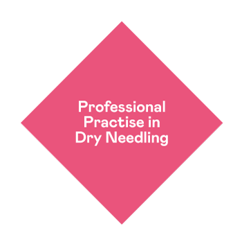 Professional Practise in Dry Needling