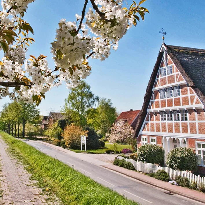EINDRÜCKE aus dem “Alten Land”