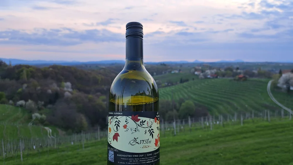 WhatsApp Bild 2025-04-09 um 21.00.17_2cfa6e7a.jpg