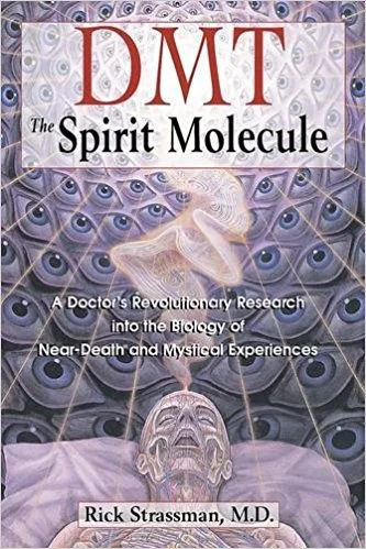 spirit-molecule-strassman.jpg
