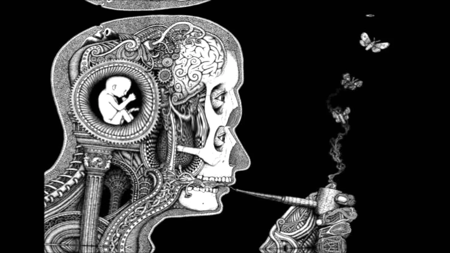 4 Dmt Trips Encounters With Beings Death Visions And The Waiting World Dmt Times