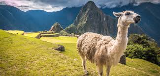 sacred-valley.jpeg
