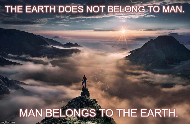 true awakening.jpg