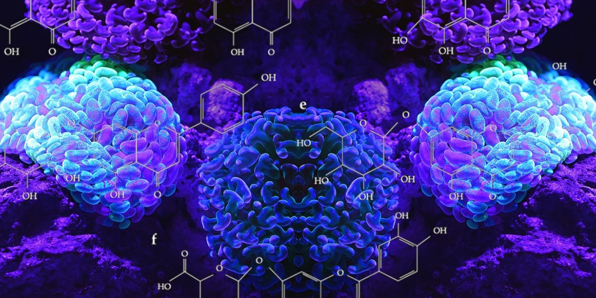 dmt_found_human_brain_molecule.jpg