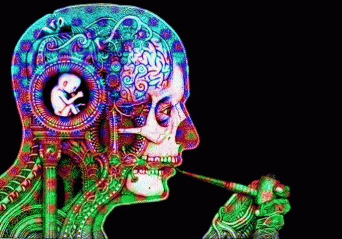 DMT Trips.gif