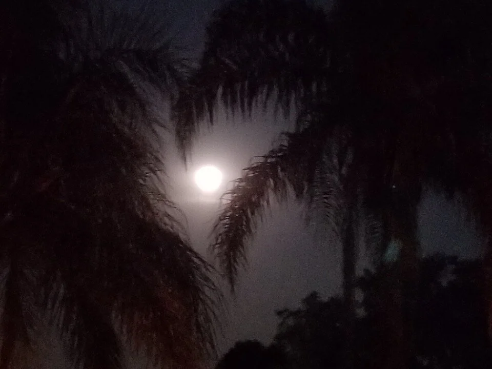 Twiddling My Thumbs!