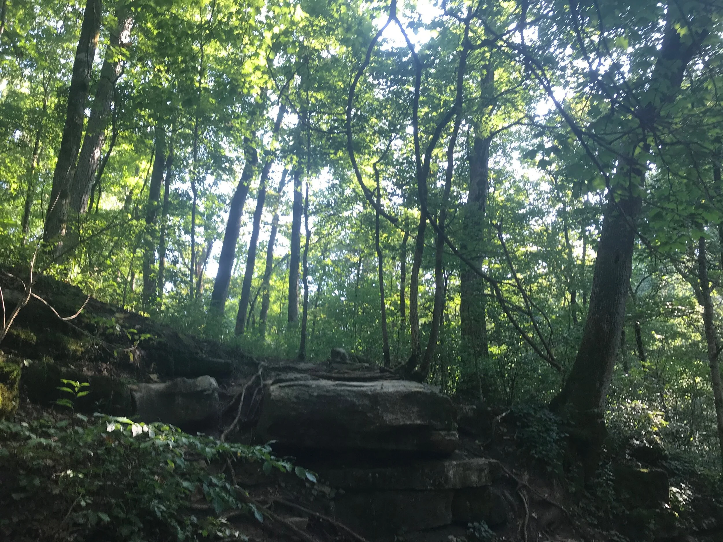 Enjoying Nature in Kentucky and Tennessee