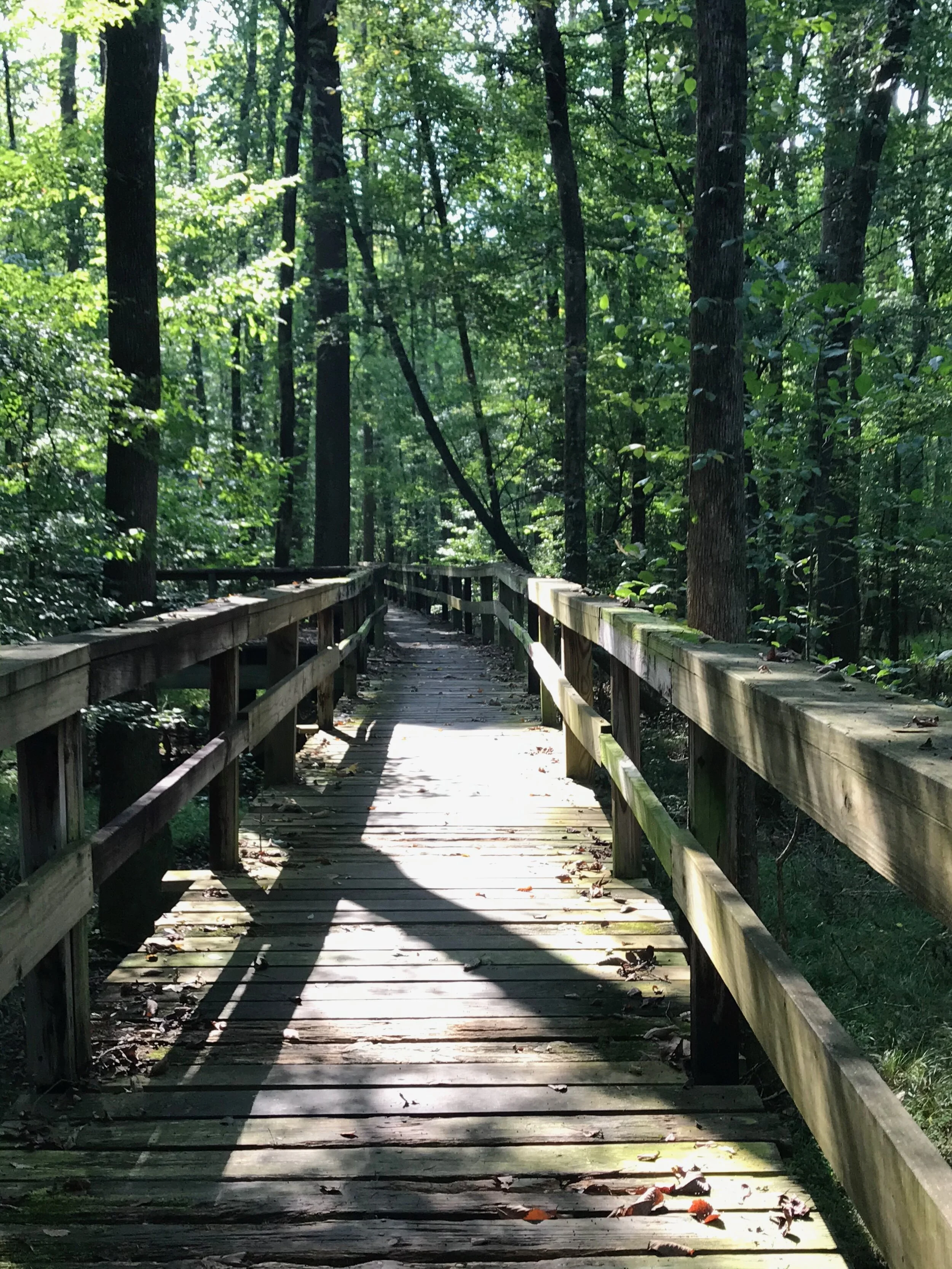 Visiting West Tennessee — Exploring Tomorrows