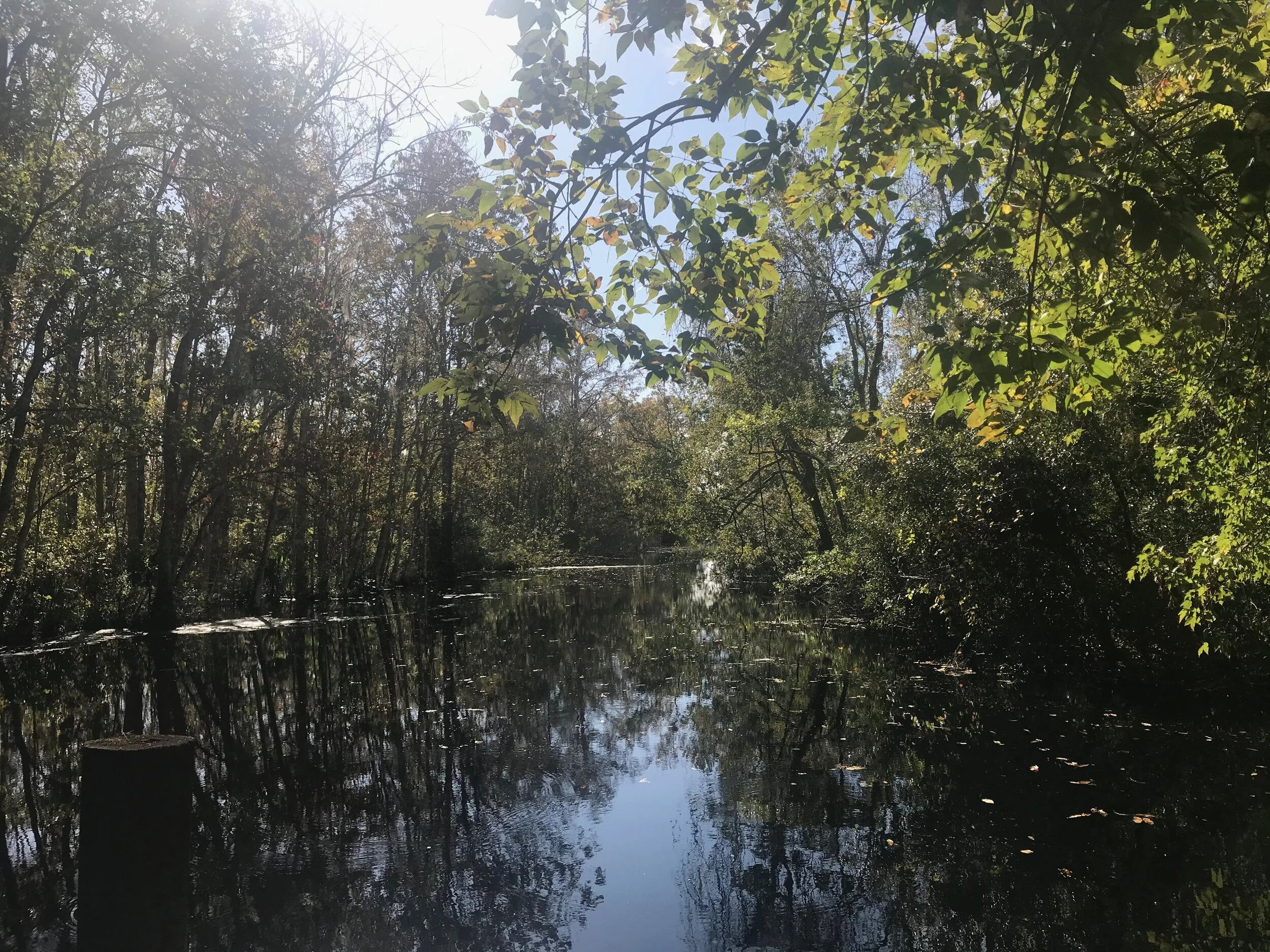 River at the end of the boardwalk