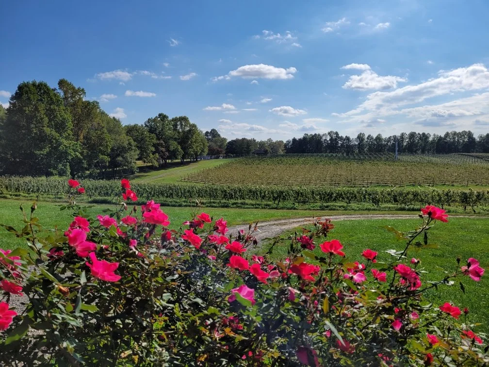 Beautiful Fall Days in North Carolina