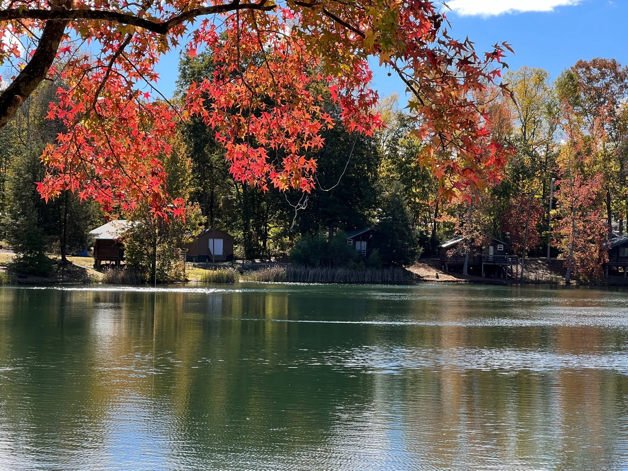 Fall in North Carolina, part 2