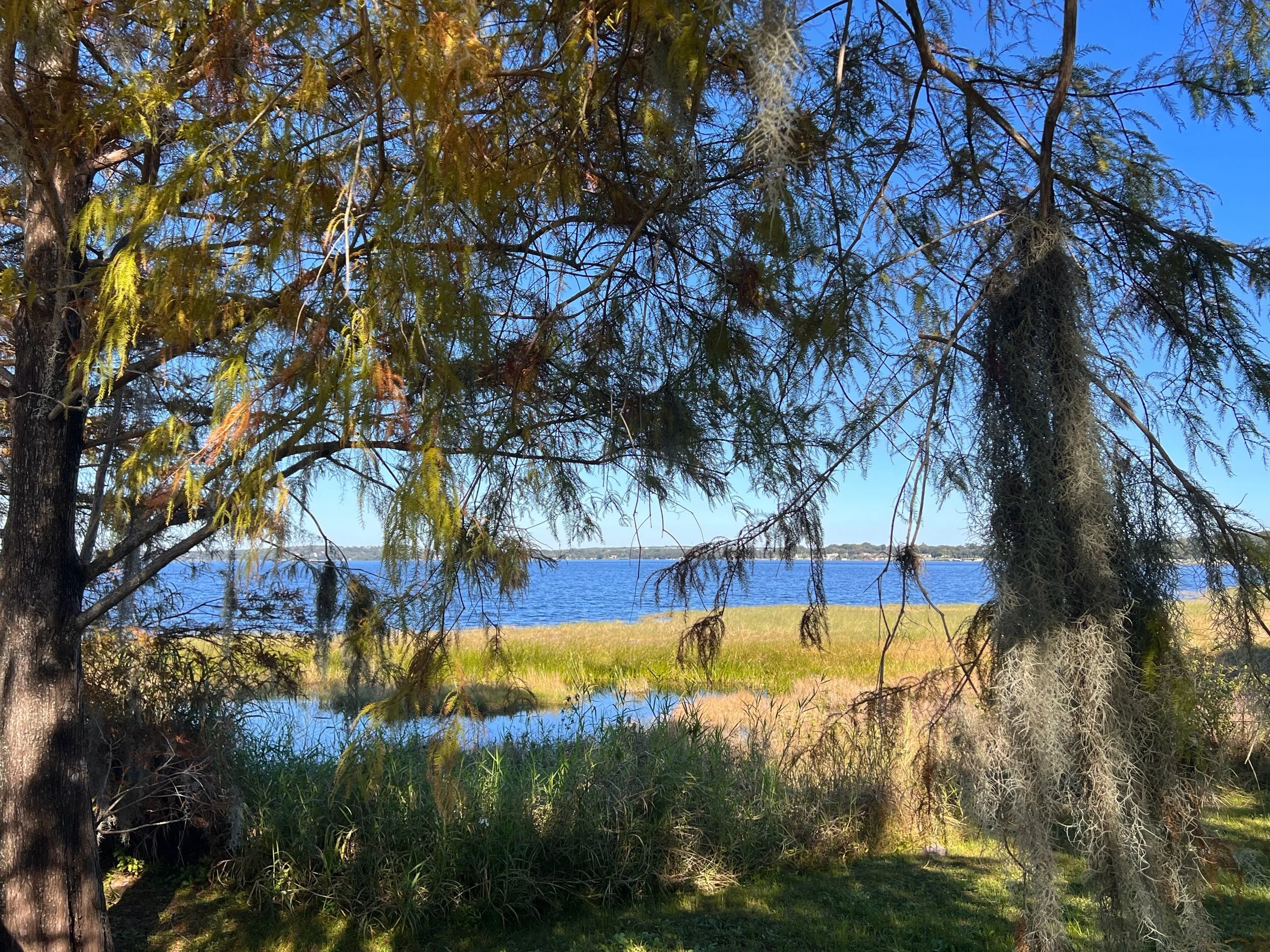 Missing That Florida Sunshine