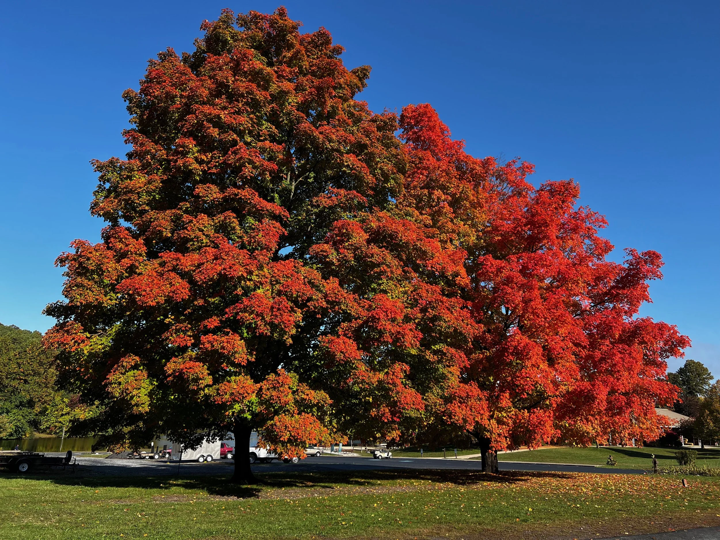 Enjoying Fall in Pennsylvania