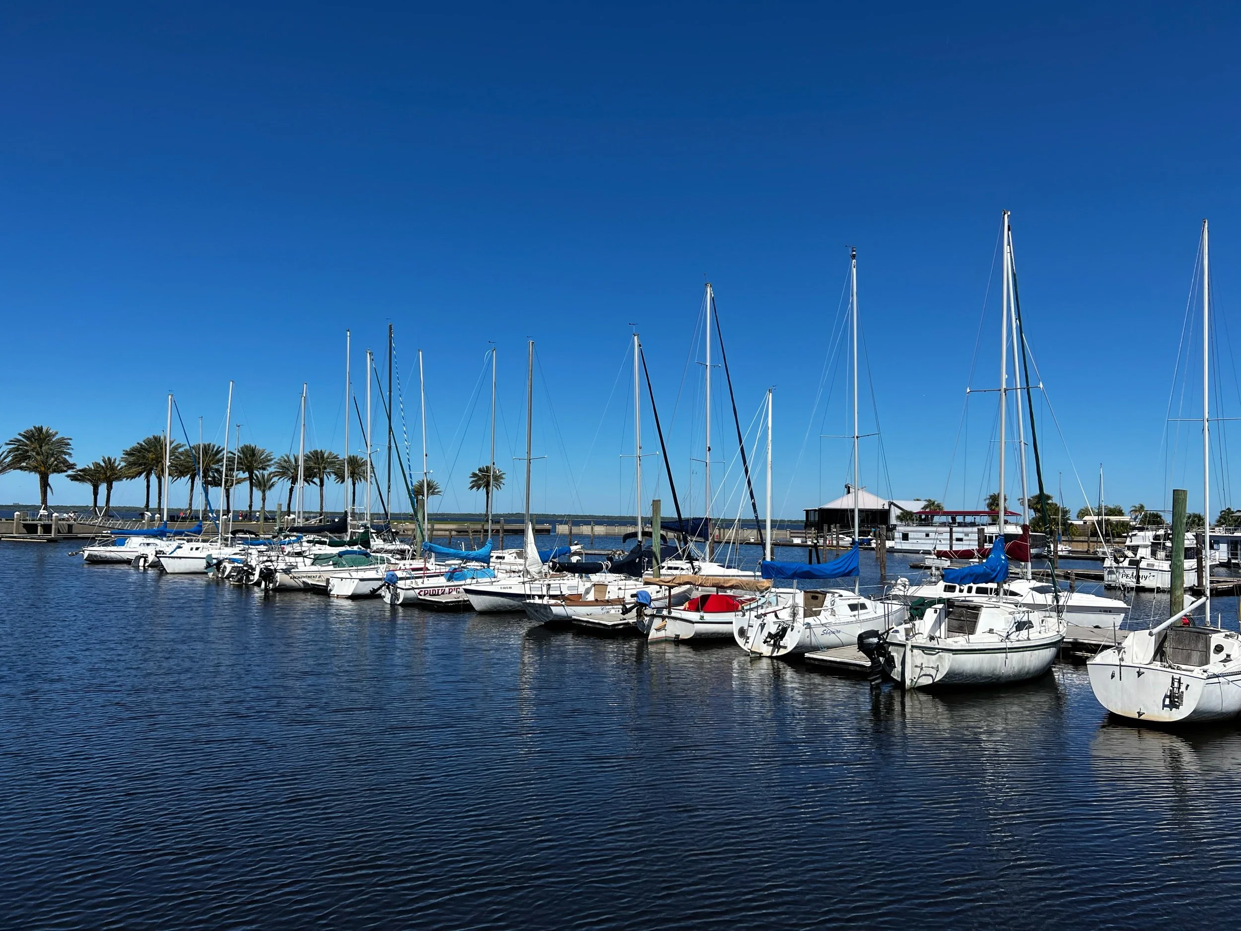 Challenging Travel North