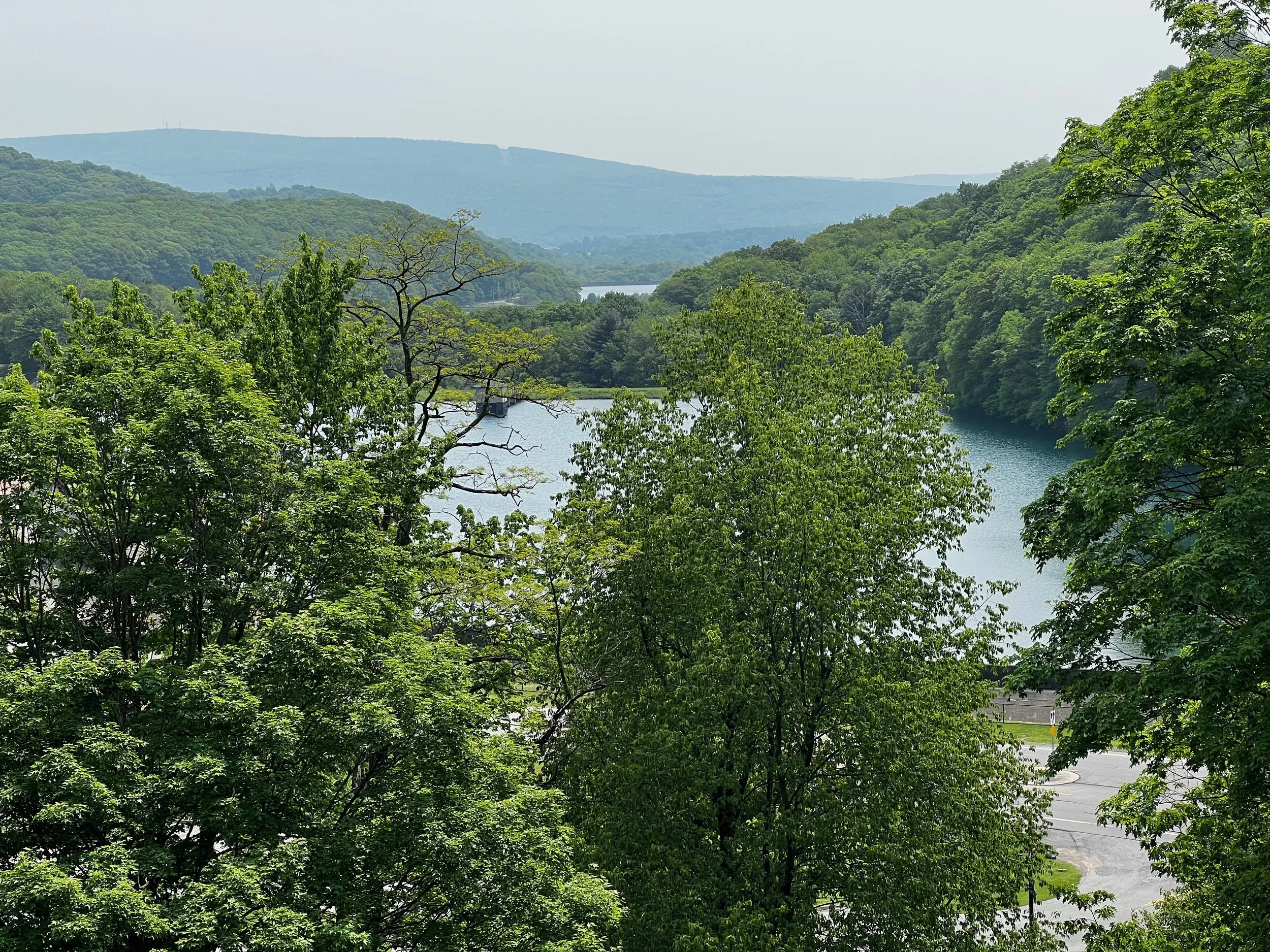 Camping Neighbors are the Best