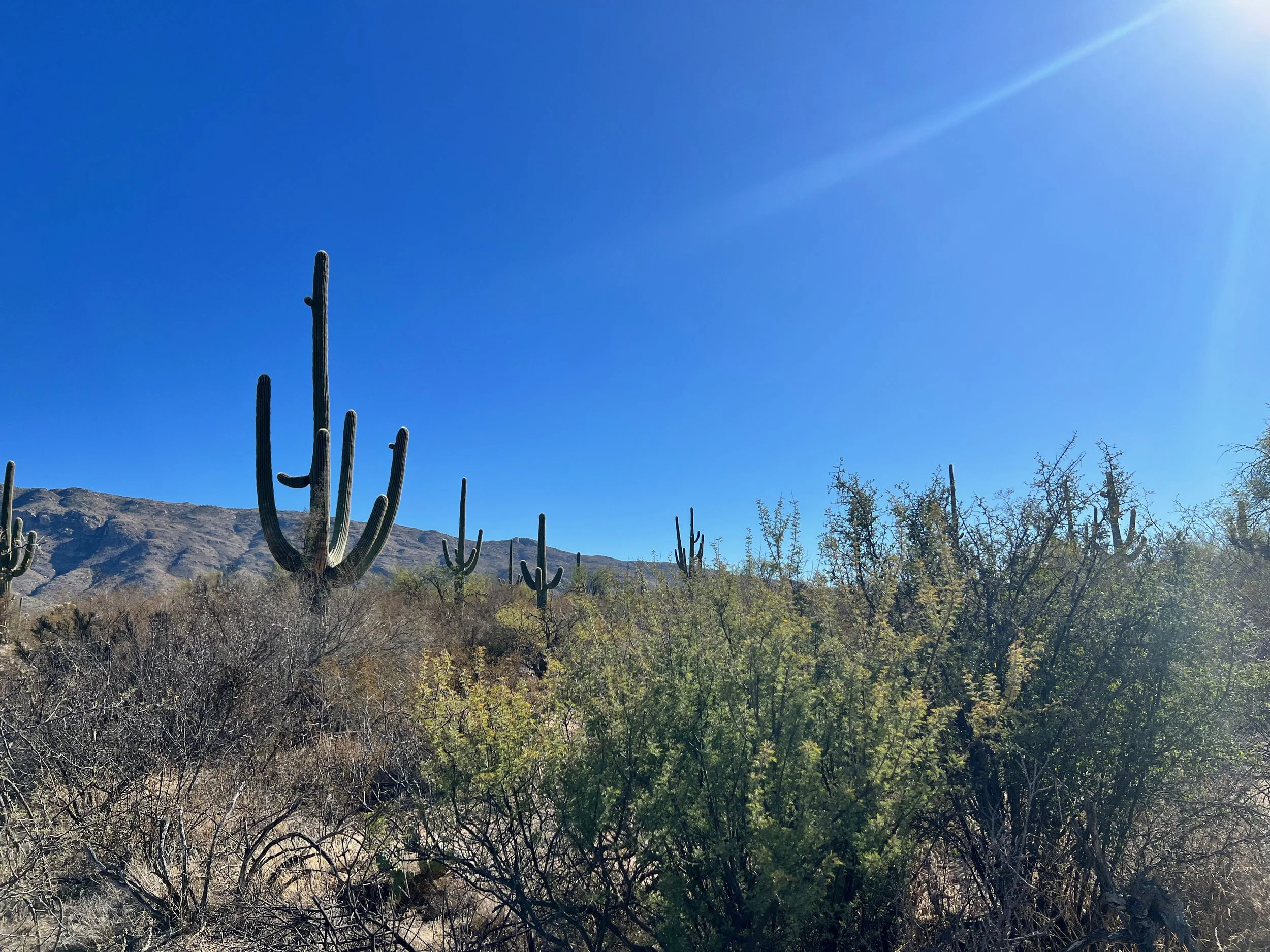 Our First Stops in Arizona